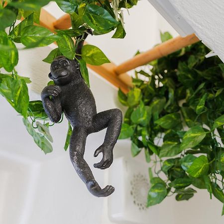 Dimora Lavinia Casa Vacanze Centro Storico Ostuni Dış mekan fotoğraf